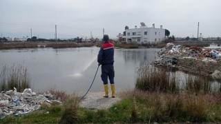 Uçkun ve Larvasitlere Geçit Yok