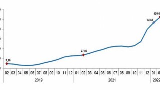 Yurt içi üretici fiyat endeksi (Yİ-ÜFE) yıllık 105,01, aylık 7,22 arttı