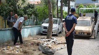 Ayvalık’ta hurda araçlara zabıta operasyonu