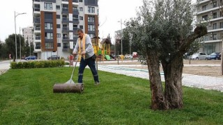Bayraklı’nın yeşil oranı artıyor