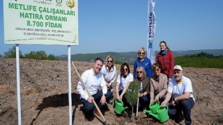 MetLife Çalışanları Hatıra Ormanı’nda 8 bin 700 fidan yeşerecek