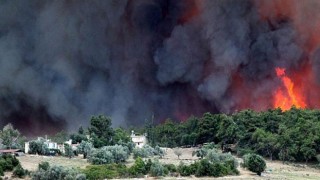 15 Mayıs Dünya İklim Günü’nde İklim İçin Birlikte