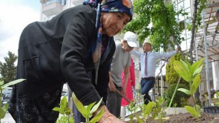 Domates Fideleri Gönül Köşkü’ne Dikildi