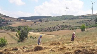 Dünya Çiftçiler Günü Kutlu Olsun!