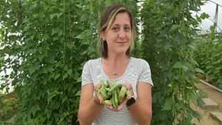 Atalık tohumlara özel bakım!