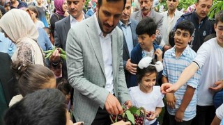 Bağcılar’da Kiraz Festivali coşkusu