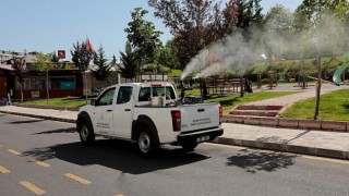 Belediye Ekipleri Sivrisinek ve Haşereye Karşı İlaçlama Yapıyor
