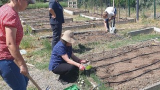 Bostanda Tohumlar Baş Gösterdi