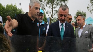 Gönüllüler kıyıdan, dalgıçlar su altında temizlik yaptı