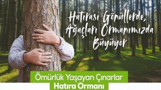 Hatırası Gönüllerde, Ağaçları Gölbaşı Ormanımızda Büyüyor