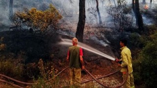 İzmir’de ormanlara koruma kalkanı