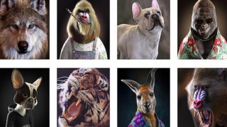 NVIDIA Studio’da Sanatçı Massimo Righi ile Fantastik Üç Boyutlu Hayvanlar Hayat Buluyor