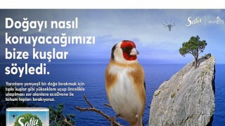 Sofia, 3 Milyon Tohum Topunu Toprakla Buluşturuyor