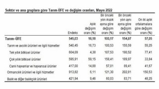 Tarım ürünleri üretici fiyat endeksi (Tarım-ÜFE) yıllık Yüzde 154,97, aylık Yüzde 16,18 arttı