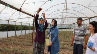 Antalya Büyükşehir’den üreticilere ücretsiz yapışkan tuzak