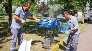 Küçükçekmece’de Hayvan Dostu Belediyecilik : Doğadaki Can Dostlar Yalnız Değil