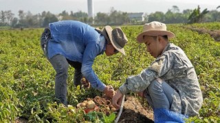 PepsiCo Europe, tedarik zincirine sürdürülebilirlik çözümleri sunmak için dijital start-up’ları destekliyor