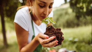 TSKB Ekonomik Araştırmalar, ‘İklime Dair’de karbonsuz bir dünya için orman ve toprağın önemine dikkat çekiyor