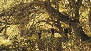 Brit-rock’un efsane grubu Travis, Garanti BBVA sponsorluğunda 19 Ekim’de Zorlu PSM’de