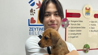 Mezarlığa Terk Edilen Minik Yavru Yeni Yuvasında