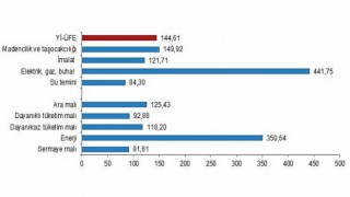 Yurt içi üretici fiyat endeksi (Yİ-ÜFE) yıllık yüzde 144,61, aylık yüzde 5,17 arttı
