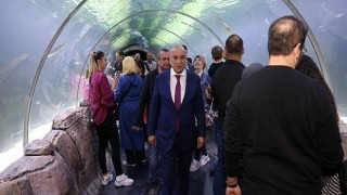 Deniz ve Okyanusa Heyecanlı Bakış