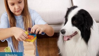 Evcil Hayvanlarınız Anker ile Güvende