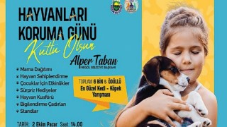 İnegöl’ün En Güzel Kedisi Ve Köpeği Seçilecek
