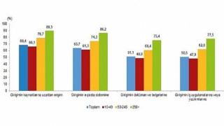 İnternet erişimine sahip girişimlerin oranı yüzde 96,0 oldu