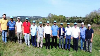 Kandıra Belediyesi ayçiçeği hasadına başladı