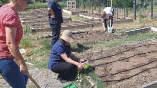 Kent Tarım’da Sonbahar Dönemi Başlıyor
