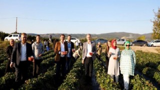 Kırmızı Elmas’ın Ünü Sınırları Aşıyor