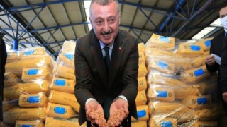 Kocaeli Büyükşehir’den çiftçiye 86 milyonluk mazot ve tohum desteği