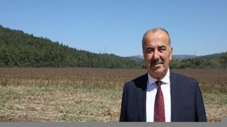 Mudanya Belediyesi’nden Topraktan Halka Ayçiçek Yağı
