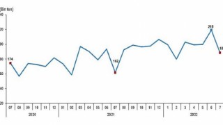 Tavuk eti üretimi 188 bin 613 ton, tavuk yumurtası üretimi 1,57 milyar adet olarak gerçekleşti