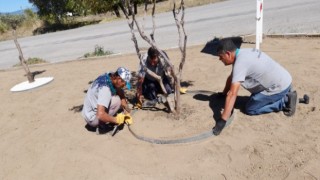 Burhaniye’de Park Bakımları Başladı