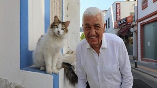 Muğla Büyükşehir Sokak Hayvanları Çalıştayı Memnuniyet Yarattı