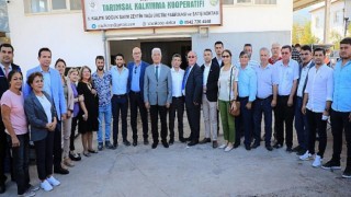 Muğla Büyükşehir’den Datça Bademini ve Zeytinciliği Yaygınlaştıracak Hamle