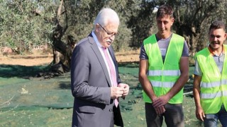 Başkan Deveciler Zeytin Emekçileriyle Buluştu