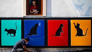 Fotoğraf Yarışması İçin Son 3 Gün