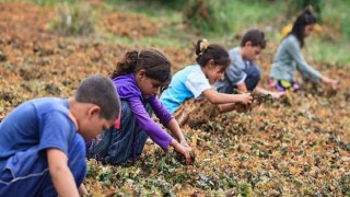 Hayata Destek Derneği: Çocuklar yoksulluk döngüsünden çıksın