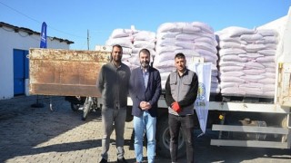 Kınıklı çiftçinin yüzü bu yıl karakılçıkla gülecek