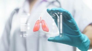 Organ Bağışıyla İlgili Doğru Sanılan 8 Yanlış Bilgi