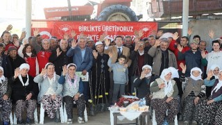 15 Bin Adet İncir Toprakla Buluşacak