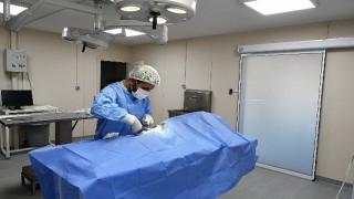 Can dostlara kesintisiz hizmet!