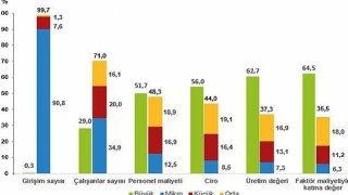 Küçük ve Orta Büyüklükteki Girişim İstatistikleri, 2021