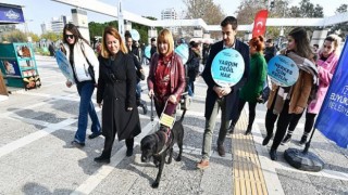 Rehber köpekler toplu ulaşımda