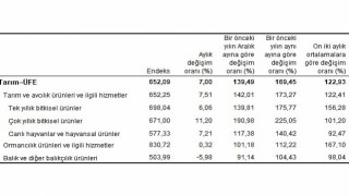 TÜİK Tarım ürünleri üretici fiyat endeksi (Tarım-ÜFE) yıllık %169,45, aylık %7,00 arttı