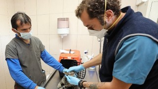 Gaziemir&#39;de 5 bin 820 hayvana veteriner hizmeti