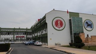 Harran Üniversitesi'nde Kanatlı Hayvanların Hastalıklarında Kullanılan Tanı Kiti Geliştirildi